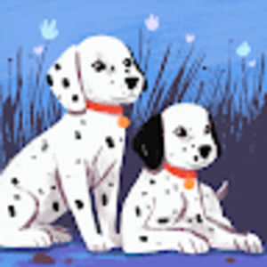 Meet your Posher, Isabelle